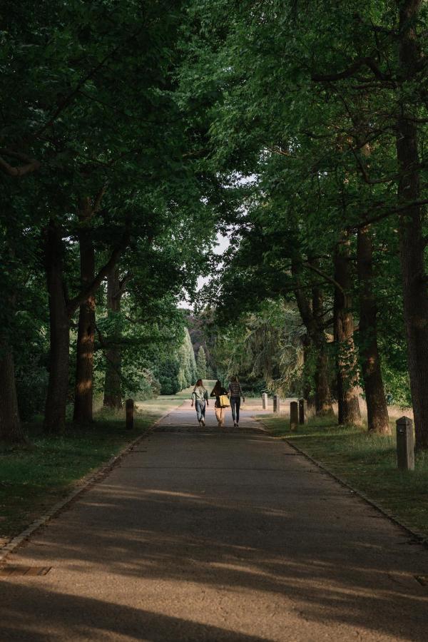 מלון ברקהאמסטד Ashridge House מראה חיצוני תמונה